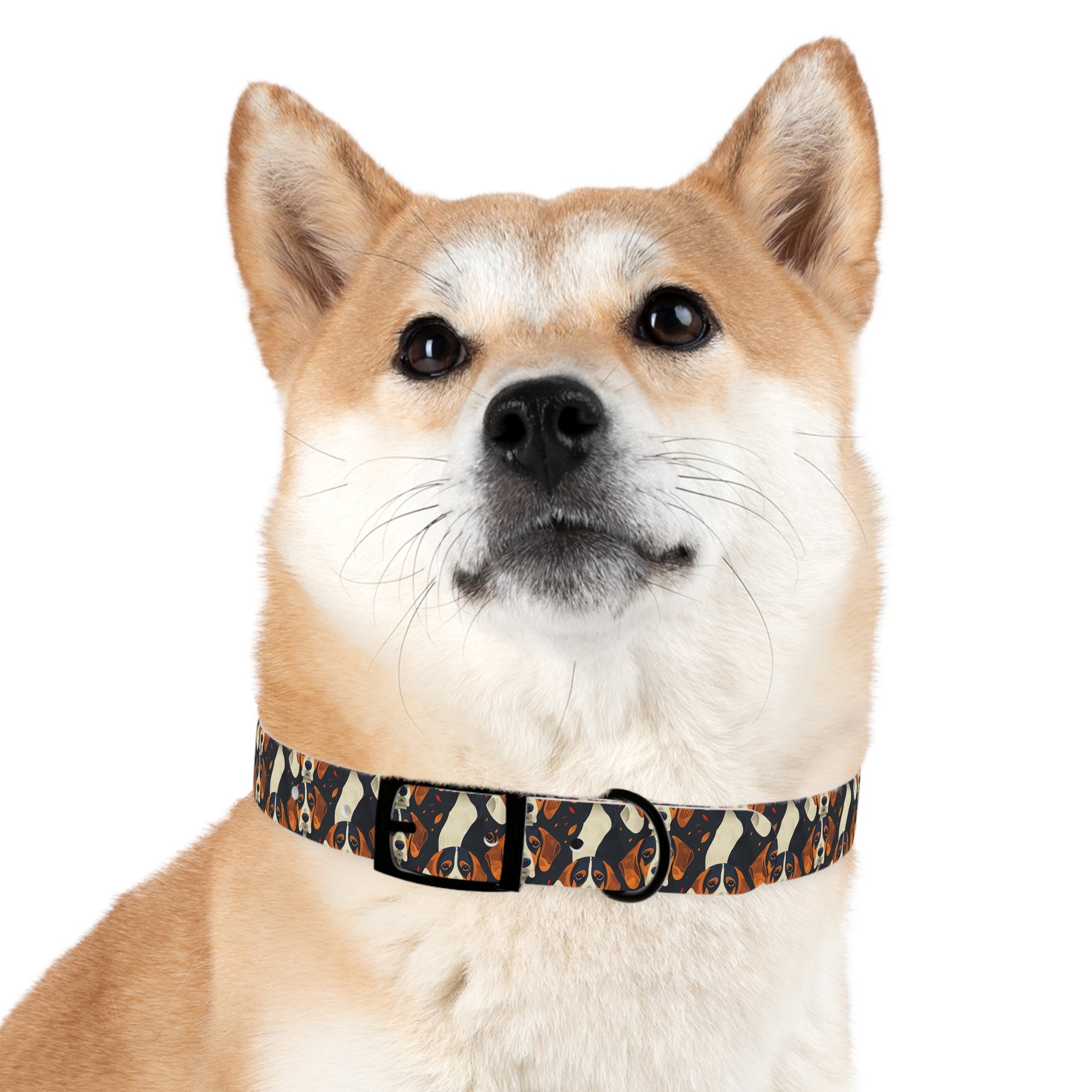 Beagle Glimmer Gaze Glamour Dog Collar