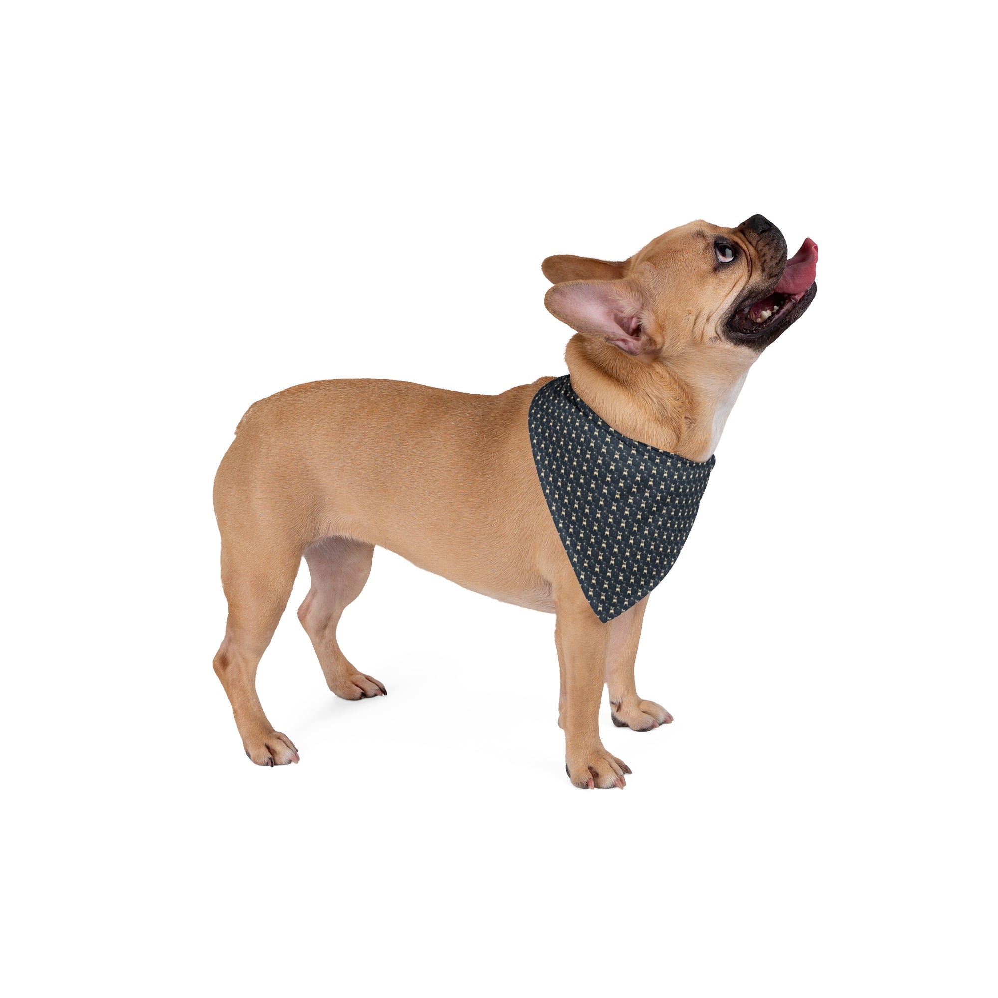 Frenchie Celestial Soar Pet Bandana