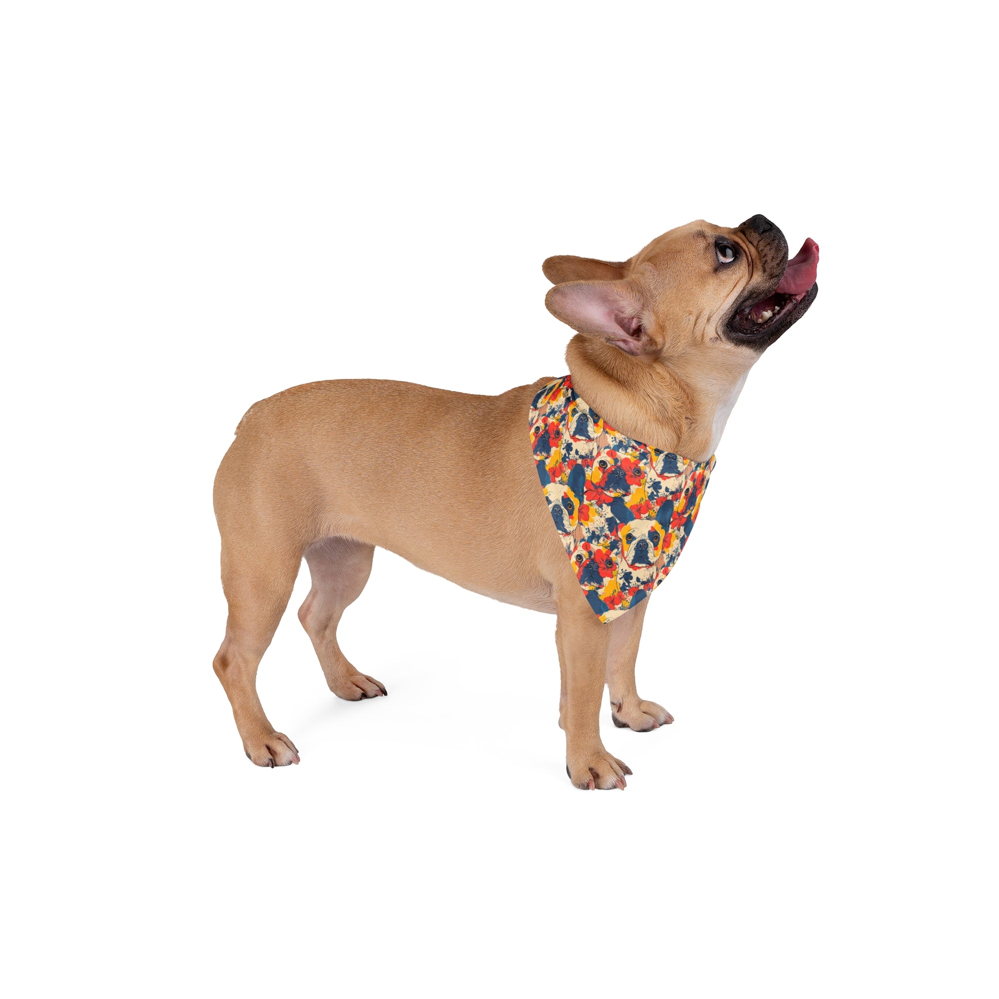 Bloom Pup Frenchietastic Splatter Pet Bandana