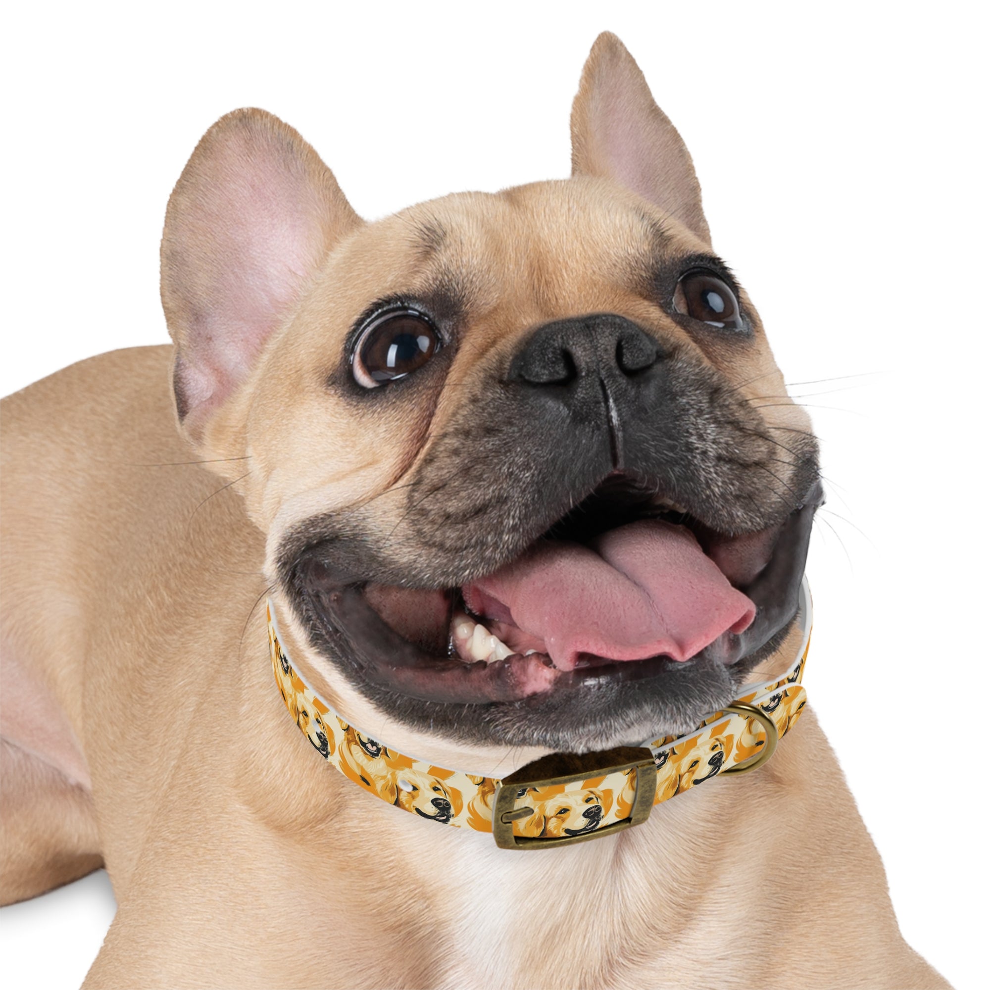 Golden Glitz &#39;n Glamour Woofwear Dog Collar