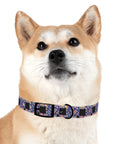 Bloomtastic Lab Petal Parade Dog Collar