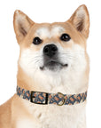 Blooming Bulldog Beauty Dog Collar