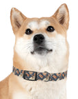 Blooming Bulldog Beauty Dog Collar