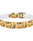 Golden Glitz 'n Glamour Woofwear Dog Collar