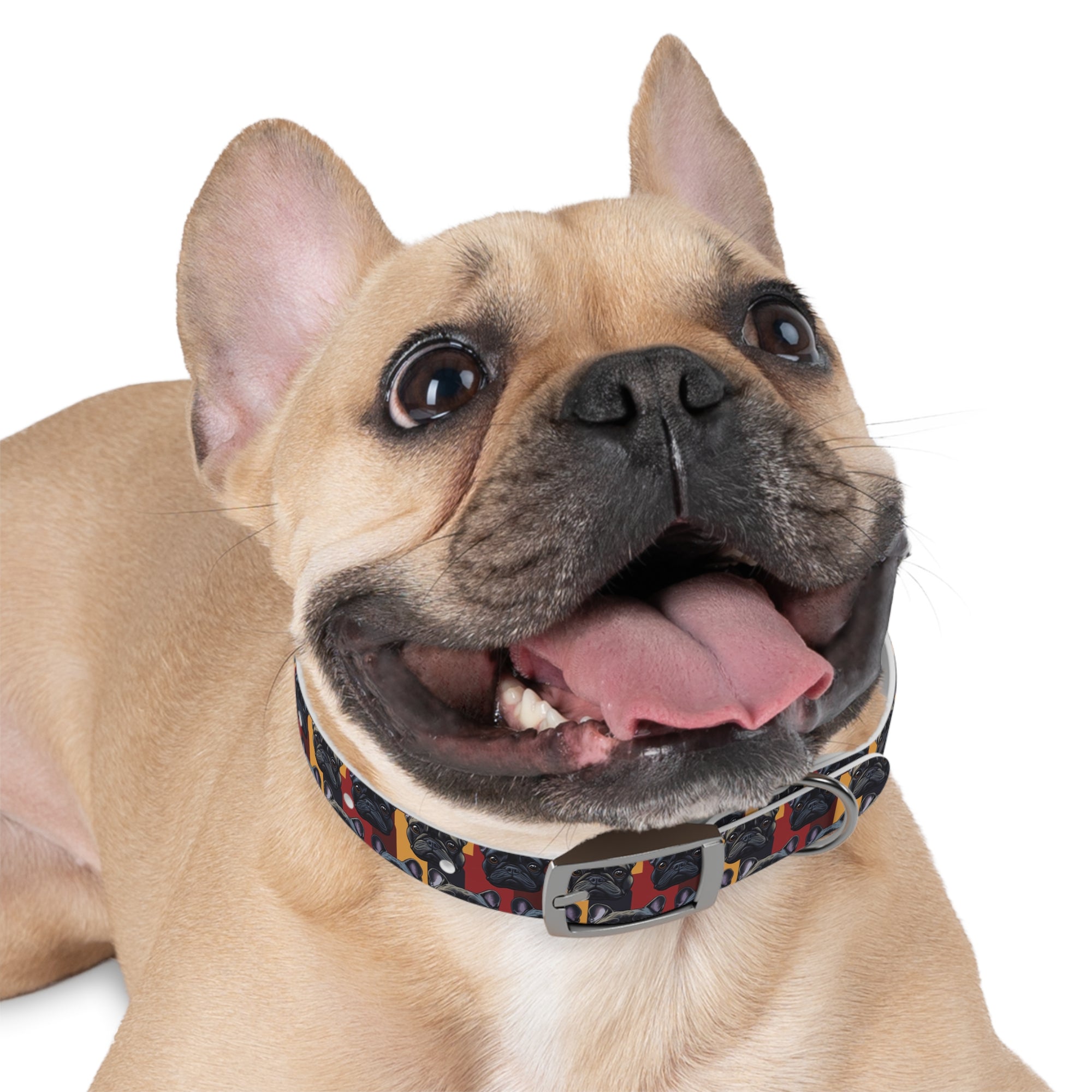 Chic Canine Checkmate - Frenchie Edition Dog Collar