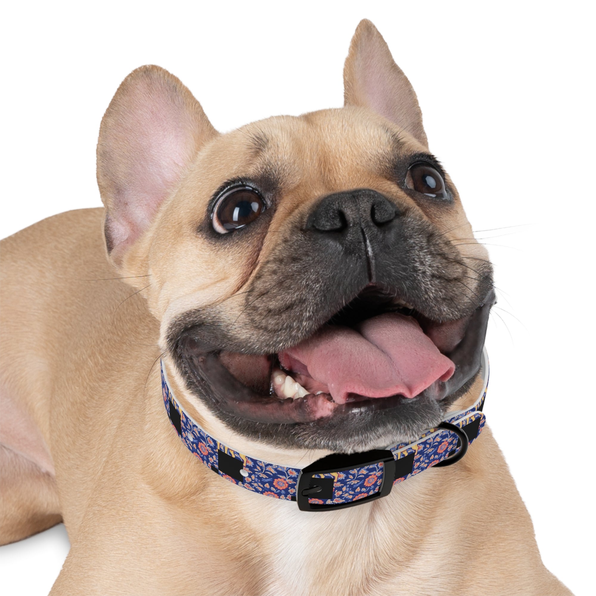 Bloomtastic Lab Petal Parade Dog Collar