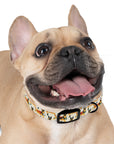 Shepherd's Galactic Glamour Harness Dog Collar