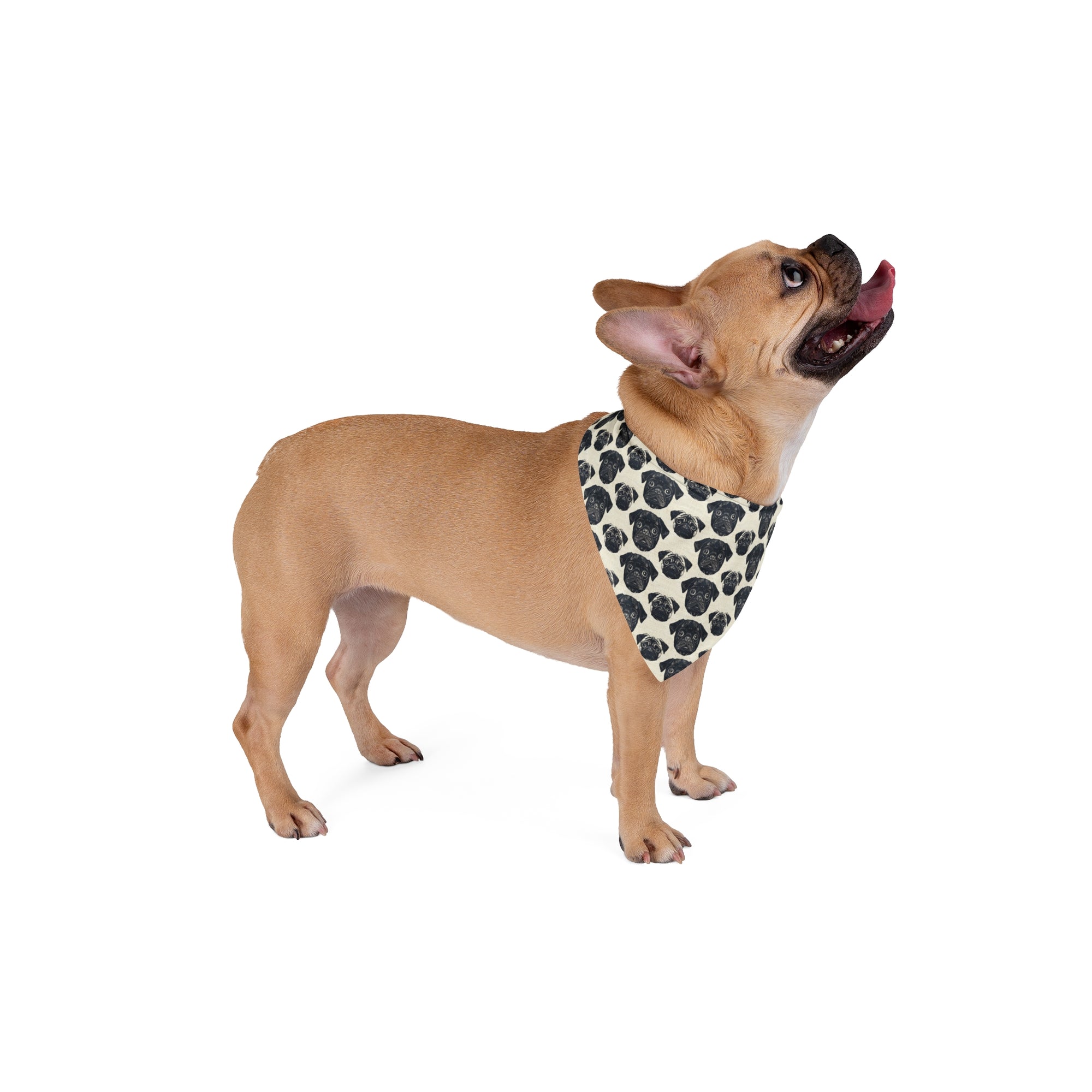 Pugalicious Enchantment Pet Bandana