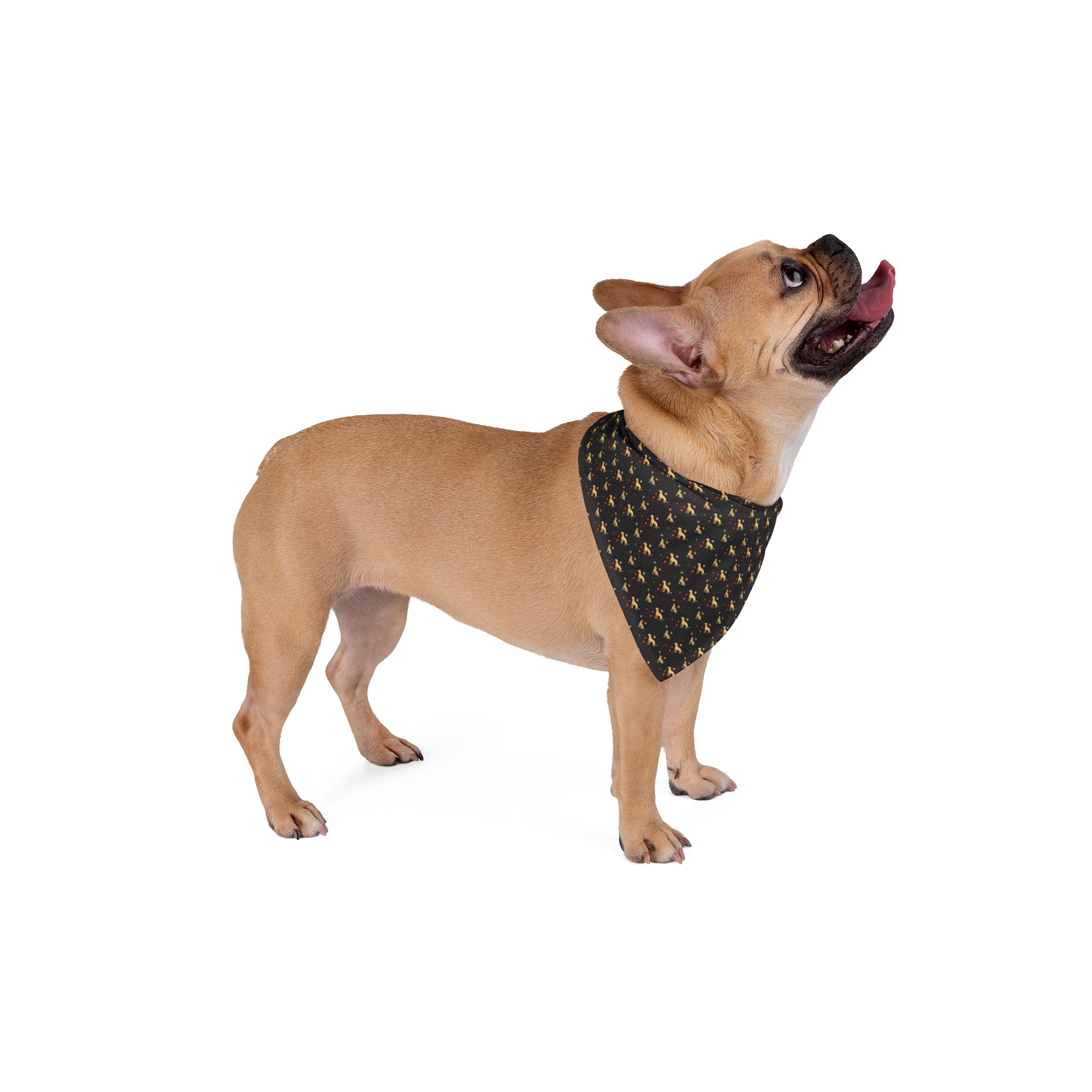 Heavenly Husky Hues Pet Bandana