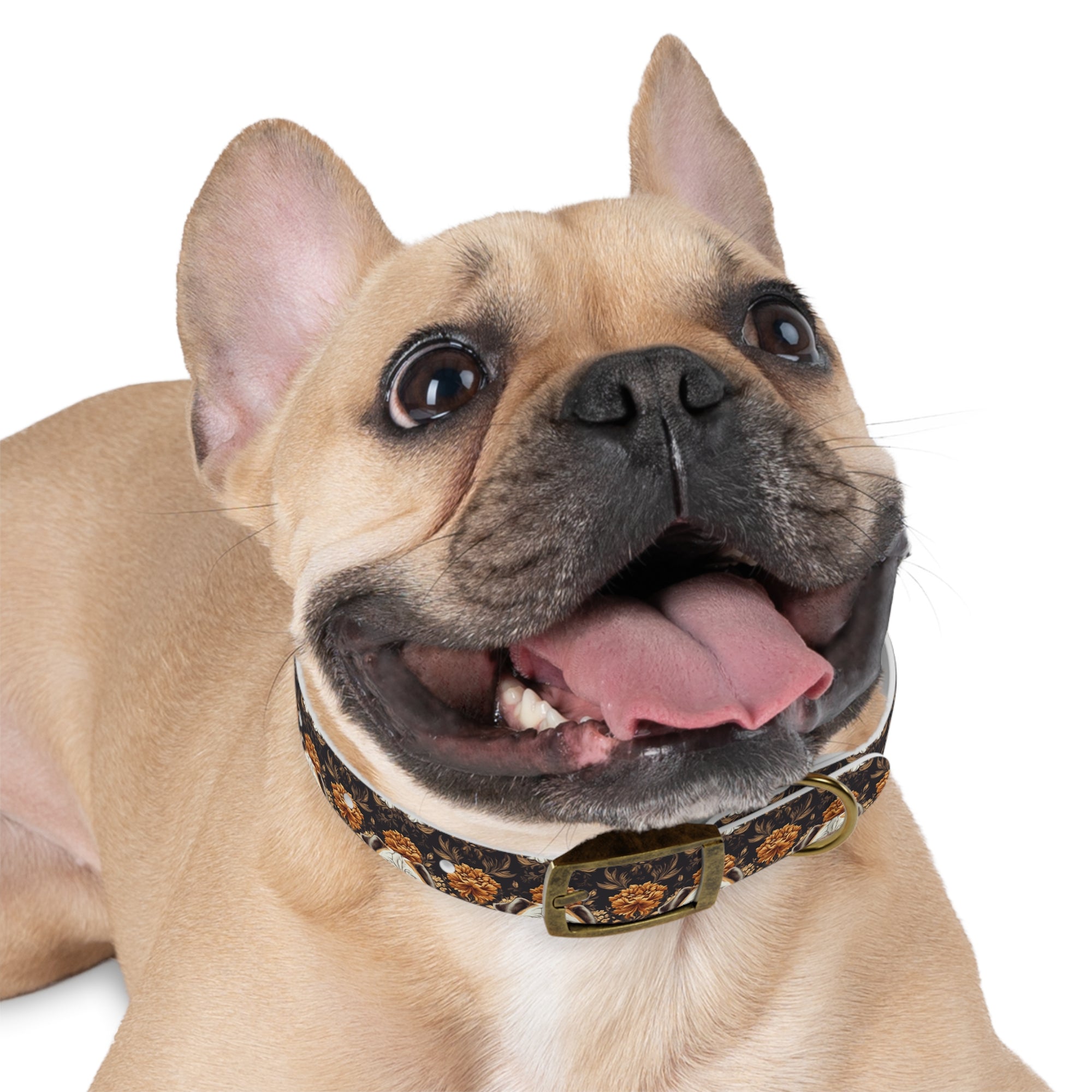 Bloomingly Bulldogistic Bouquet Dog Collar