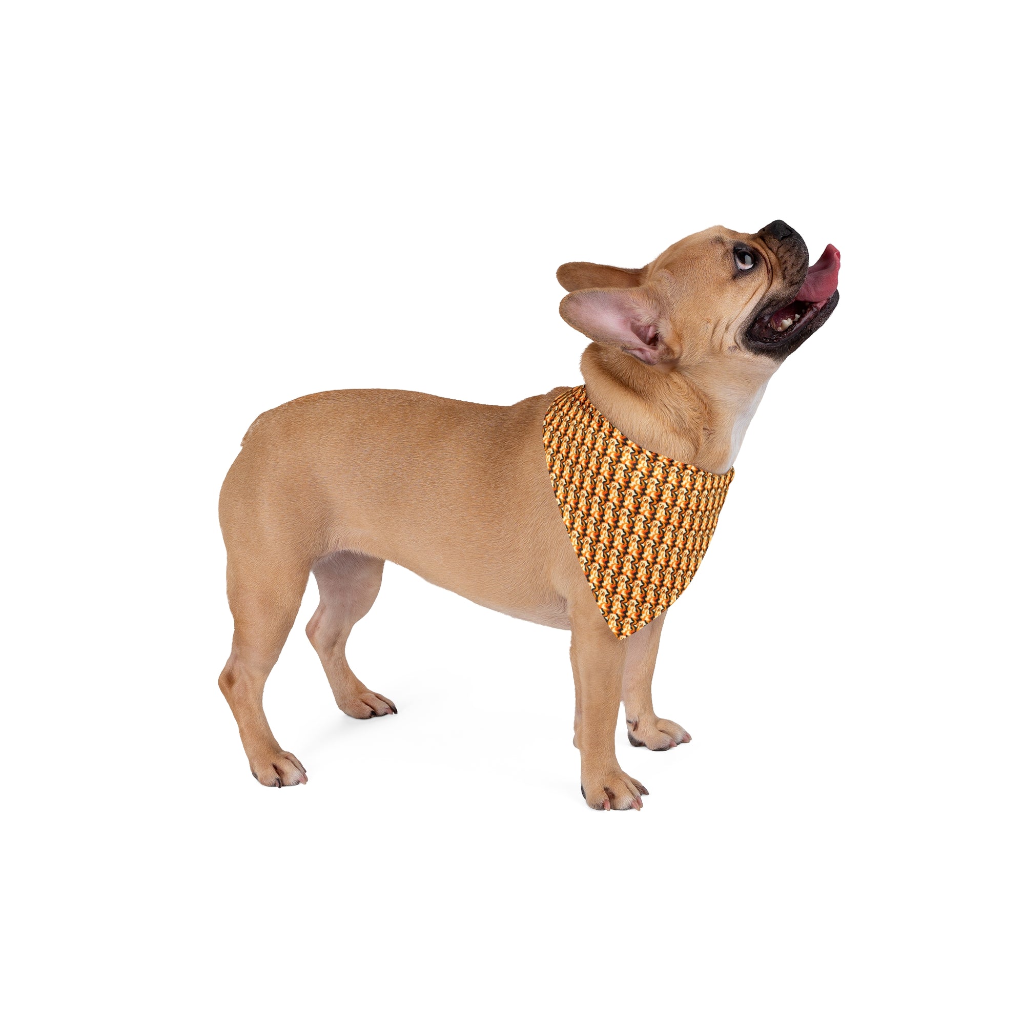 Golden Woof Abstract Glamour Pet Bandana