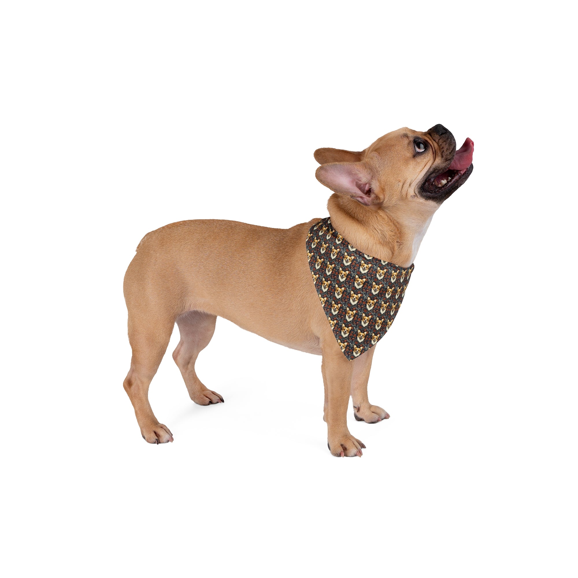 Floofy Corgi Blossom Blast Pet Bandana