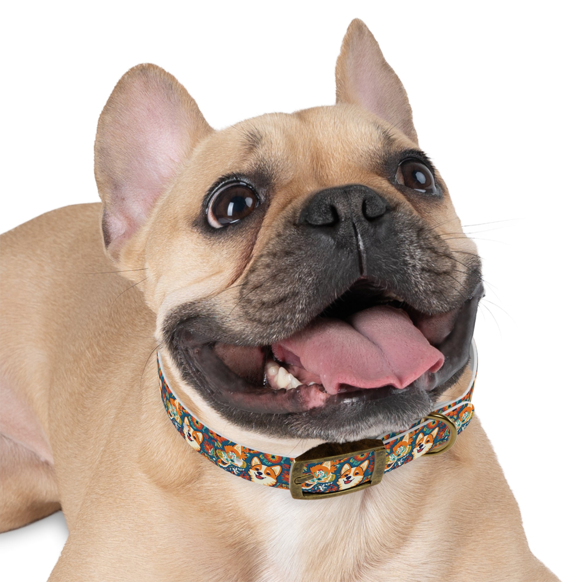 Corgi Carnival Couture Dog Collar