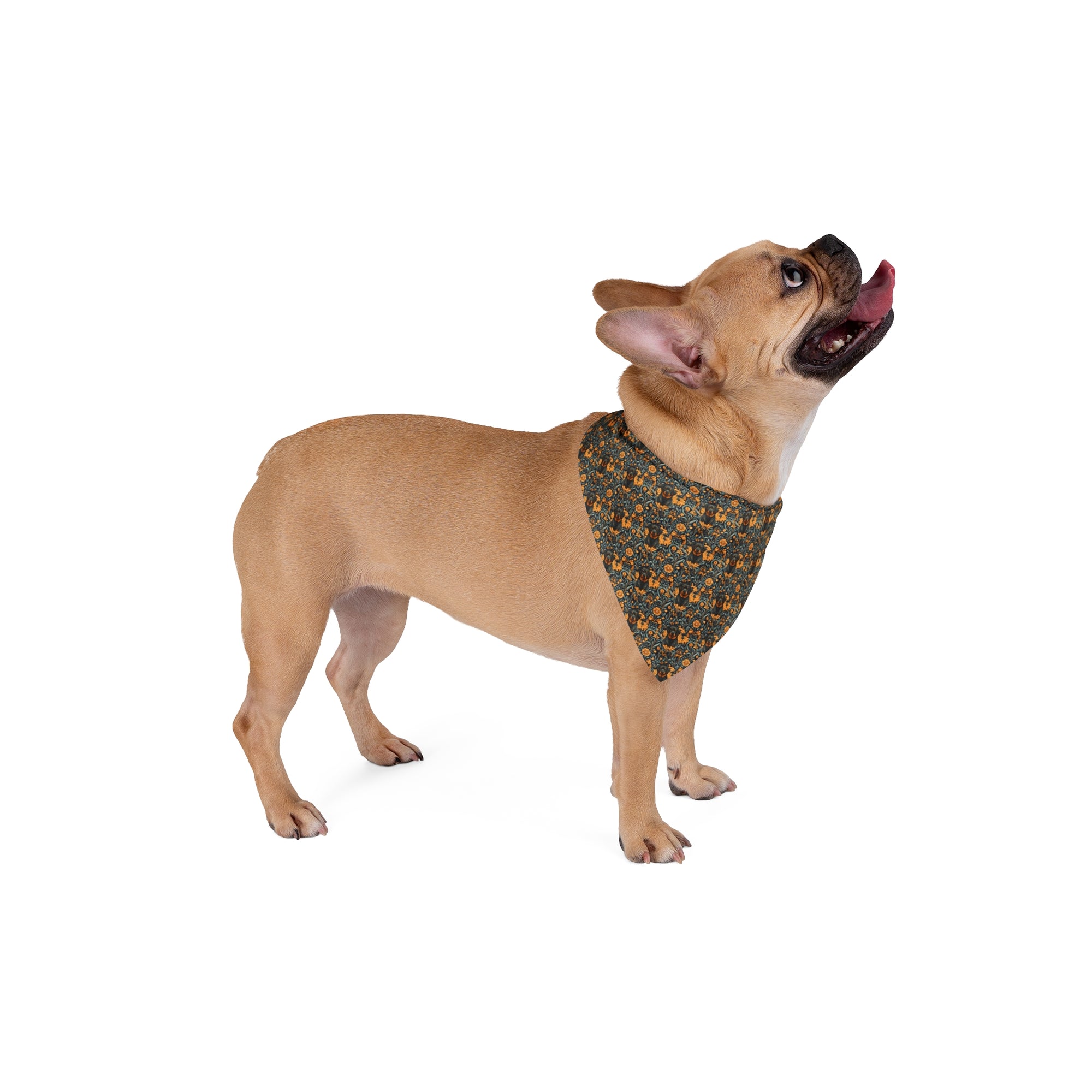 Ruffle Rottie Glamourific Pet Bandana
