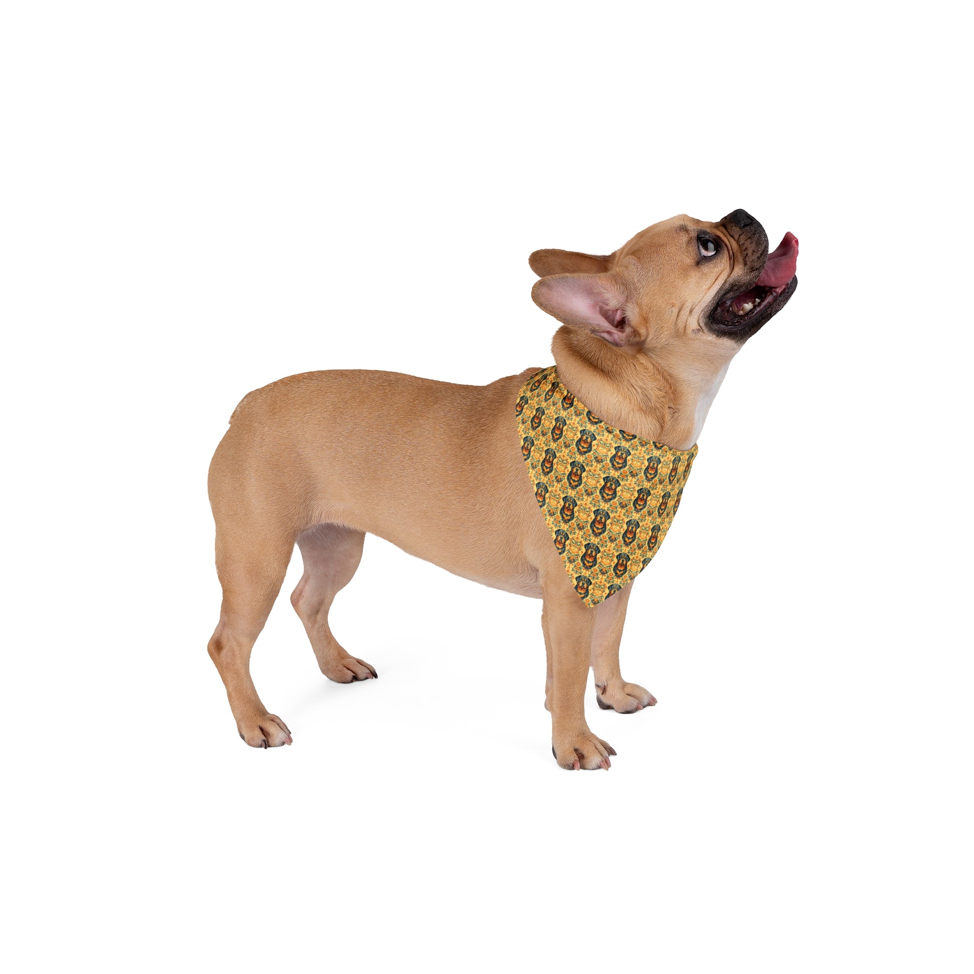 Royal Rottie Regalia Pet Bandana