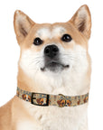 Bowtie Boxer Bliss Dog Collar