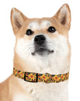 Shepherd Safari Retreat Dog Collar