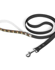 Corgi Rainbow Vine Dream Leash