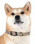 Blossoming Dachshunds Delight Dog Collar