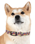 Glitchy Bulldog Blitz Dog Collar