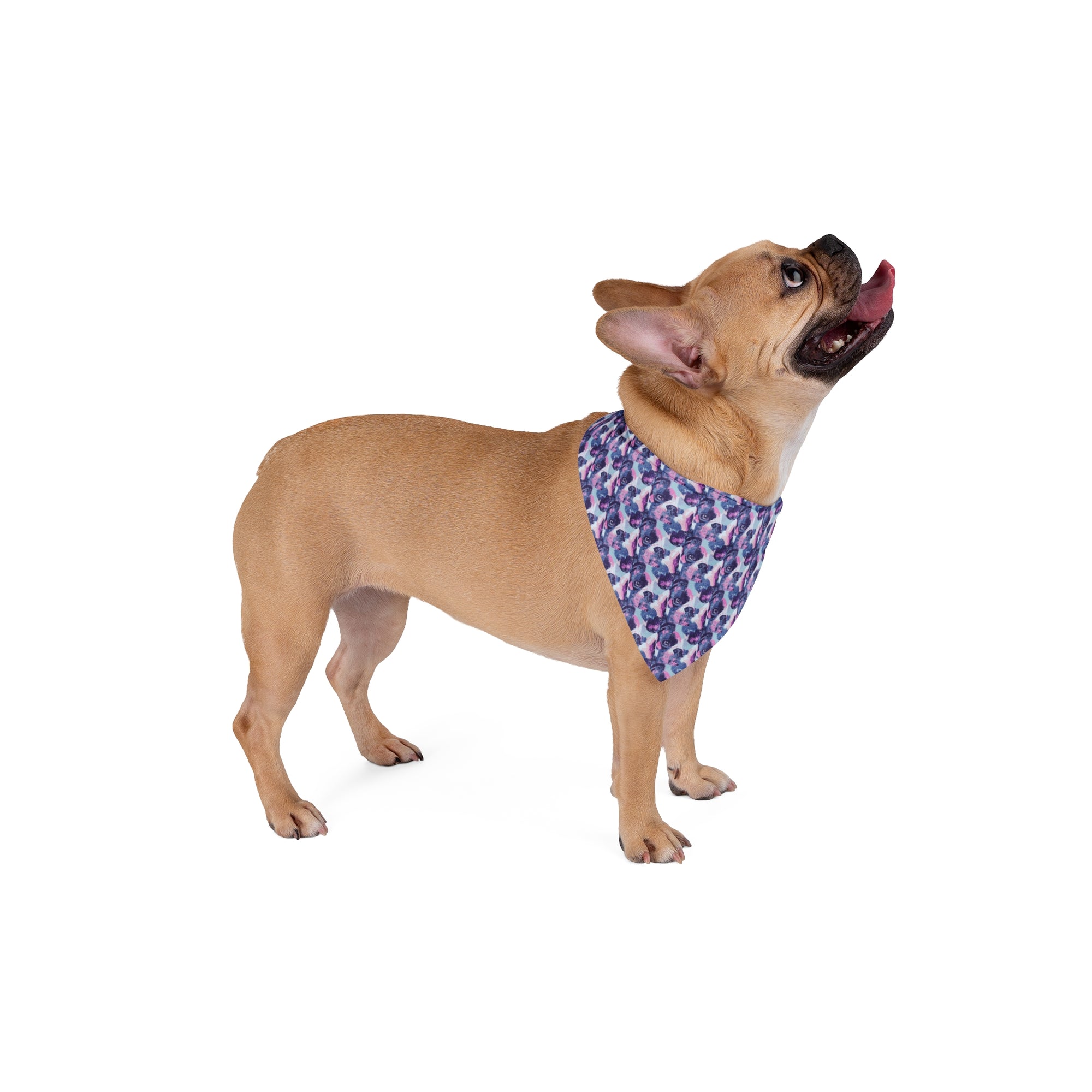 Funky Geometric Boxerista Pet Bandana