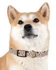 Bloomiful Lab Bouquet Dog Collar