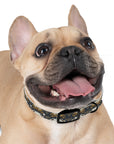 Wildwood Wanderlust Bulldog Dog Collar