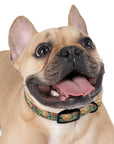 Blooming Goldie Glam Dog Collar