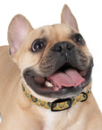 Royal Rottie Regalia Dog Collar