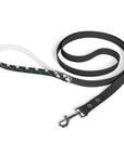 Frenchie Celestial Soar Leash