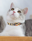 Oxford Cloth Adjustable Pet Collar for Dogs Q025