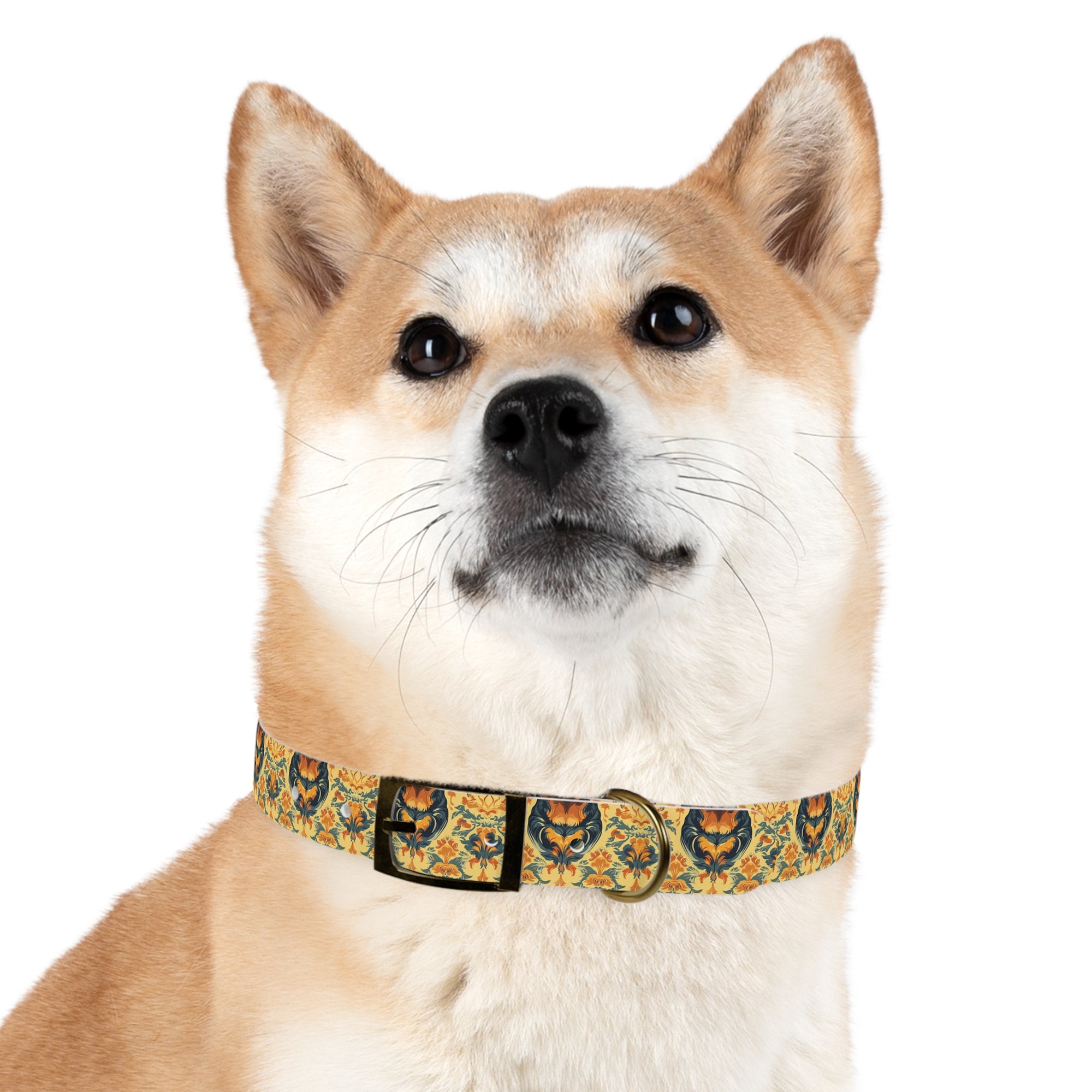 Royal Rottie Regalia Dog Collar