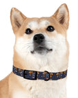 Royal Rottweiler Regalia Dog Collar